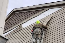 Best Custom Siding Design  in Imlay City, MI